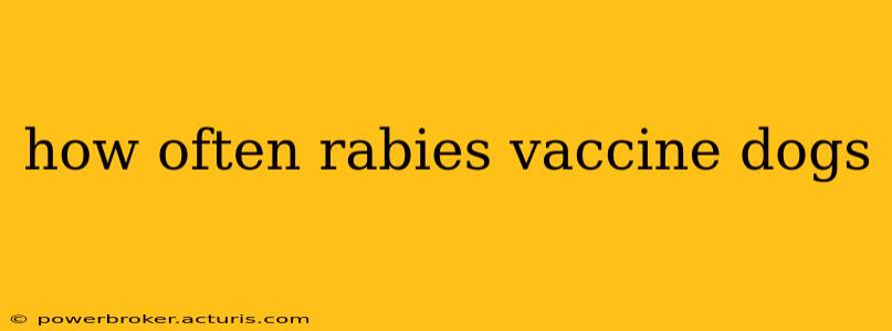 how often rabies vaccine dogs