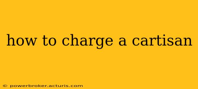 how to charge a cartisan