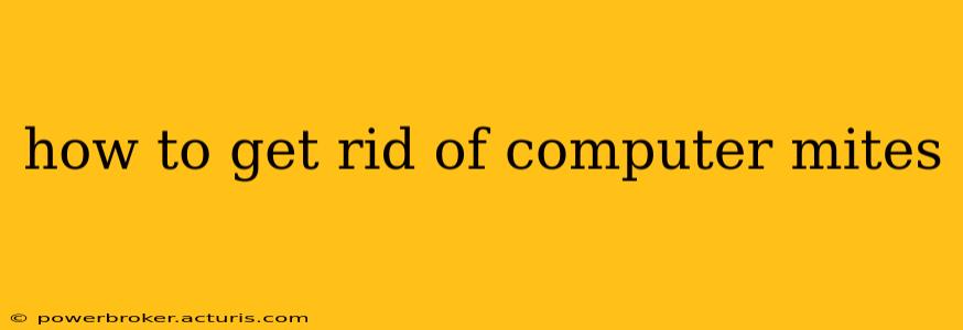 how to get rid of computer mites