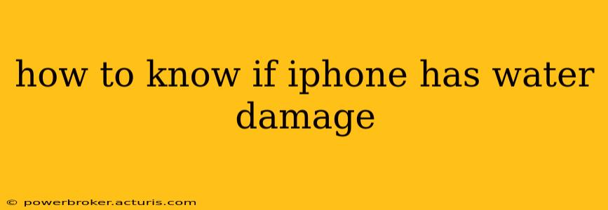 how to know if iphone has water damage