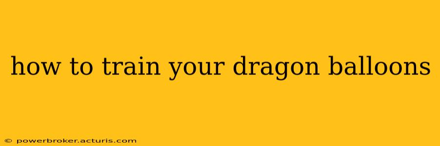 how to train your dragon balloons