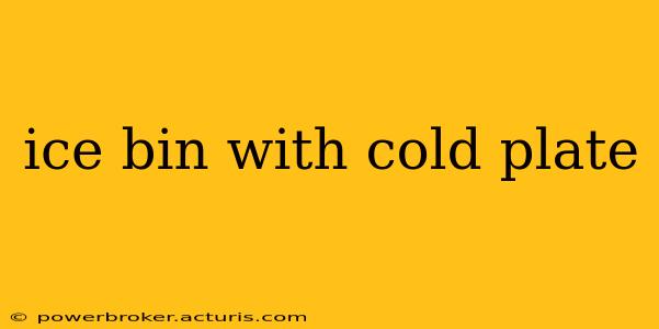 ice bin with cold plate