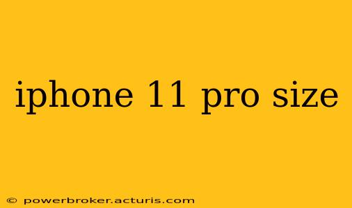 iphone 11 pro size