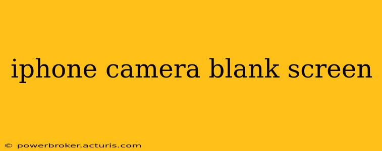 iphone camera blank screen