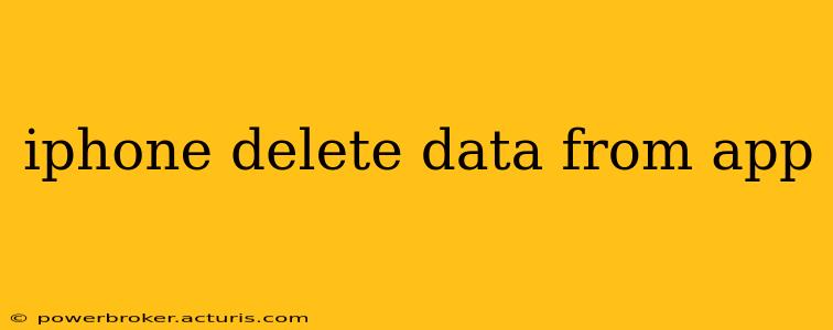 iphone delete data from app