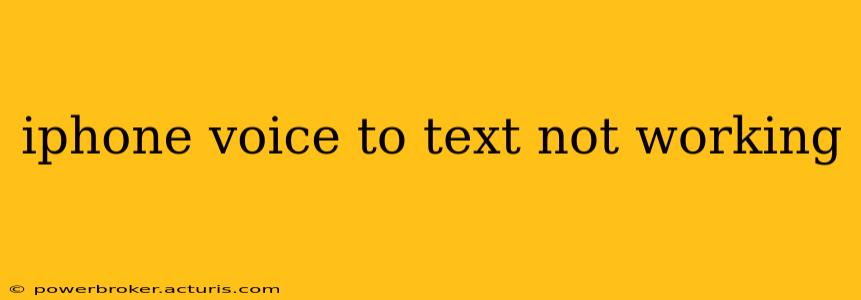 iphone voice to text not working