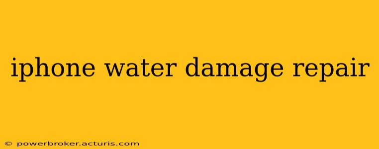 iphone water damage repair