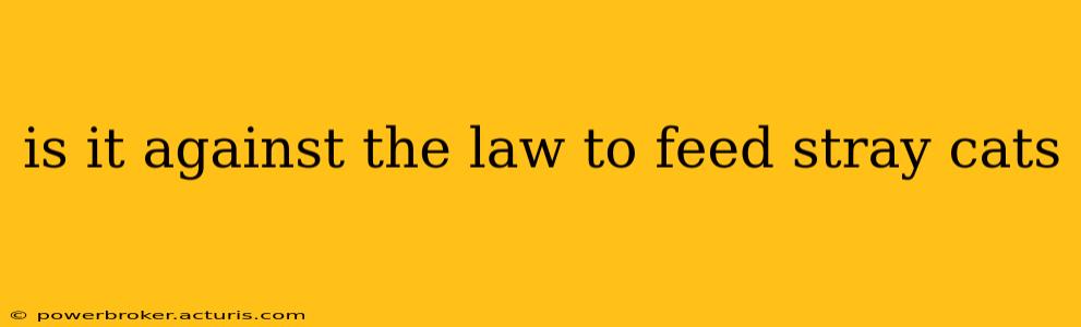 is it against the law to feed stray cats