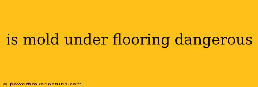 is mold under flooring dangerous