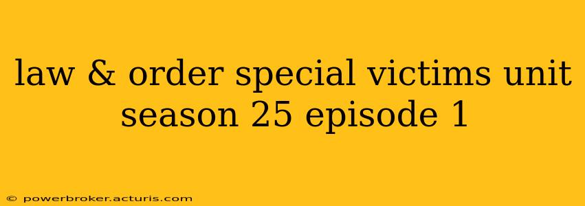 law & order special victims unit season 25 episode 1