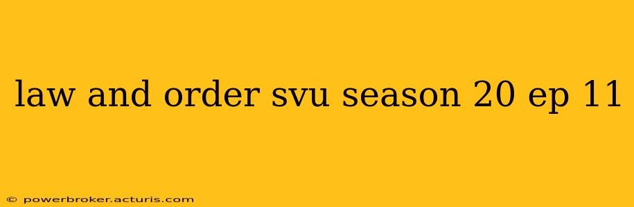 law and order svu season 20 ep 11