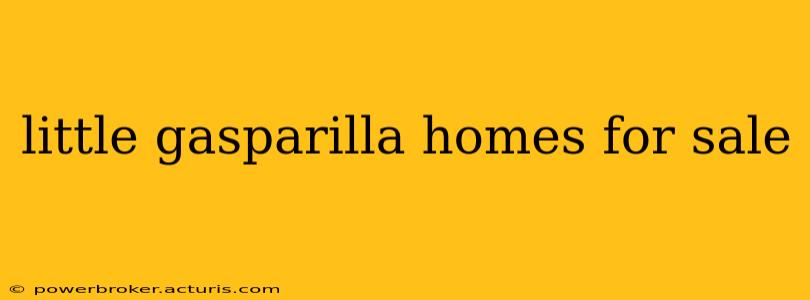little gasparilla homes for sale