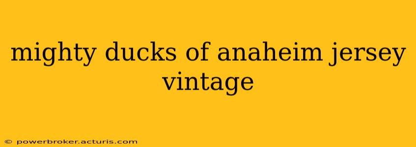 mighty ducks of anaheim jersey vintage