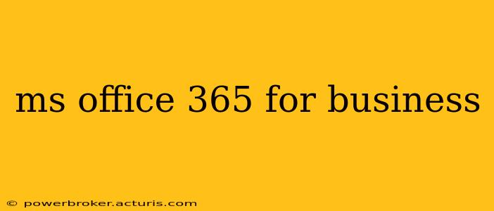 ms office 365 for business