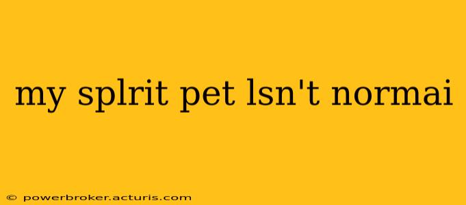 my splrit pet lsn't normai