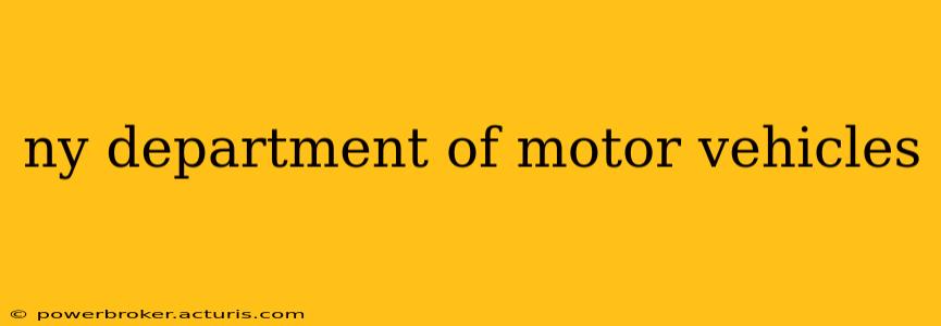 ny department of motor vehicles
