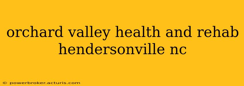 orchard valley health and rehab hendersonville nc