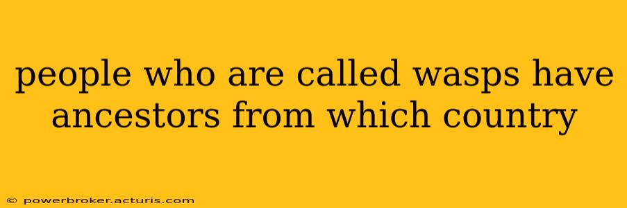 people who are called wasps have ancestors from which country