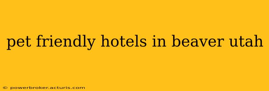 pet friendly hotels in beaver utah