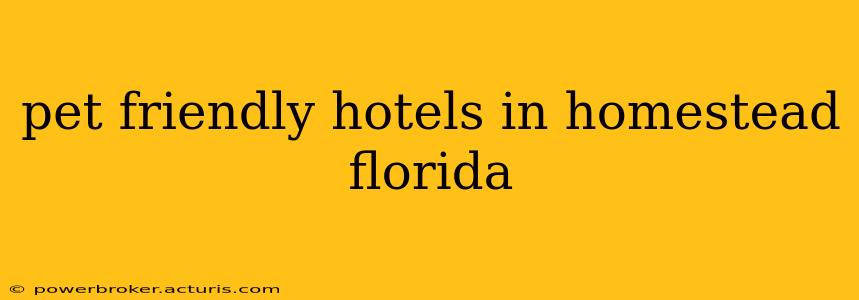 pet friendly hotels in homestead florida