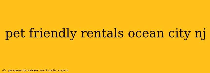 pet friendly rentals ocean city nj