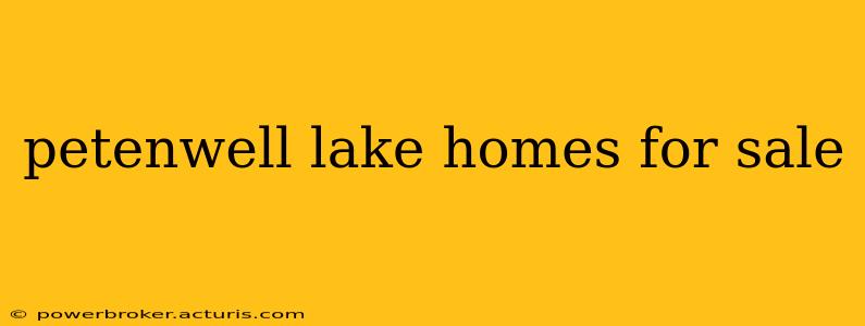 petenwell lake homes for sale