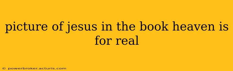 picture of jesus in the book heaven is for real