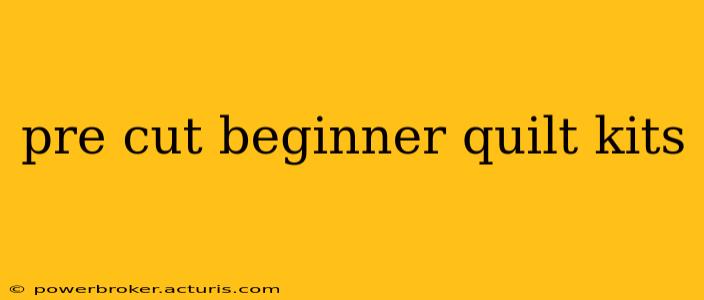 pre cut beginner quilt kits