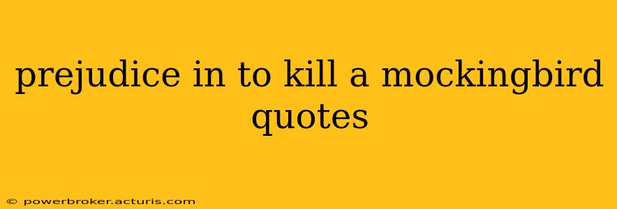 prejudice in to kill a mockingbird quotes