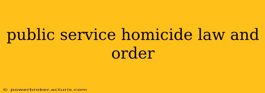 public service homicide law and order