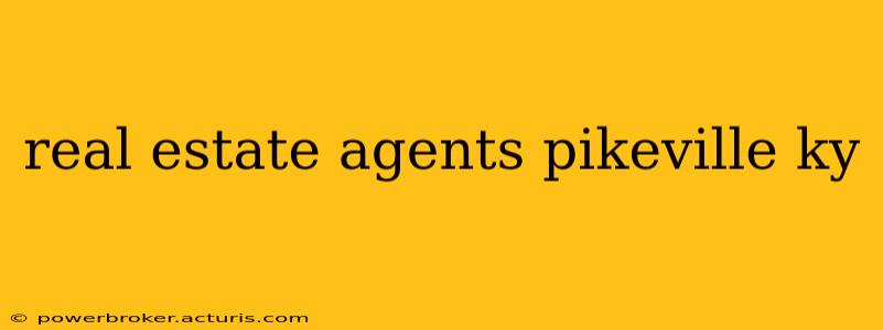real estate agents pikeville ky