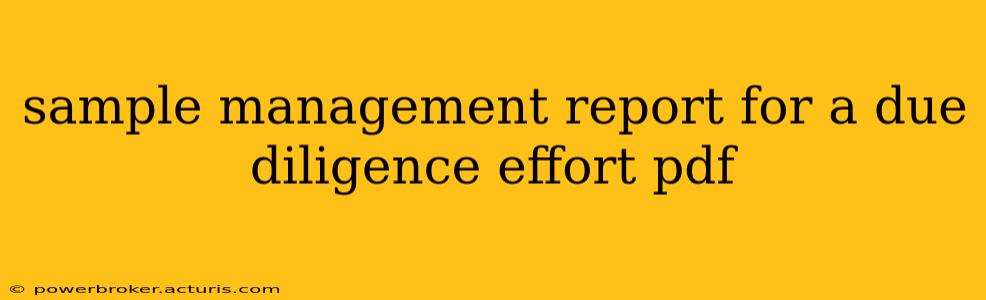 sample management report for a due diligence effort pdf