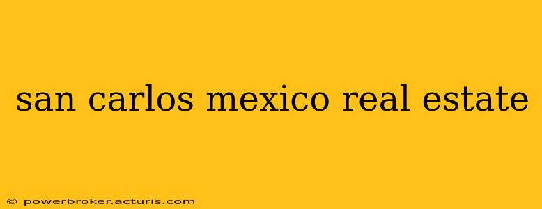 san carlos mexico real estate