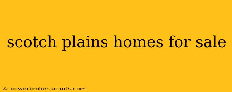 scotch plains homes for sale