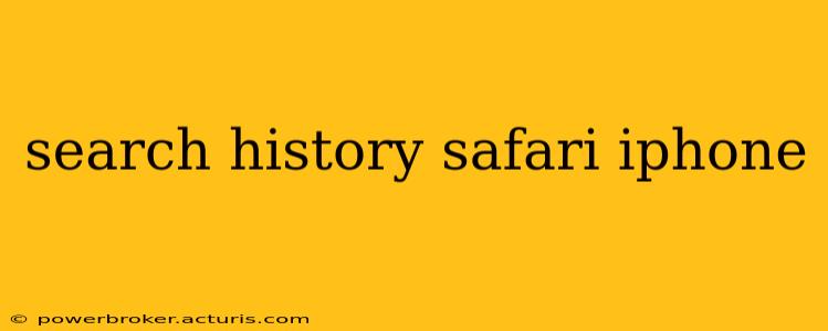 search history safari iphone