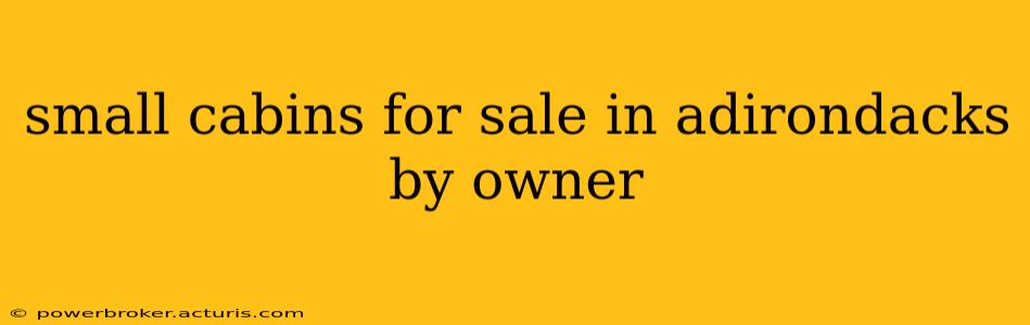 small cabins for sale in adirondacks by owner