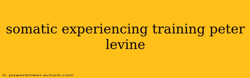 somatic experiencing training peter levine