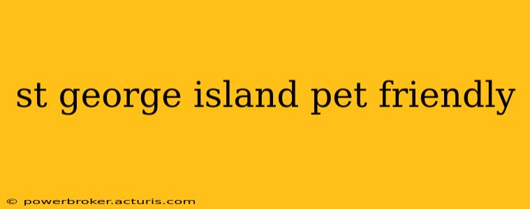 st george island pet friendly