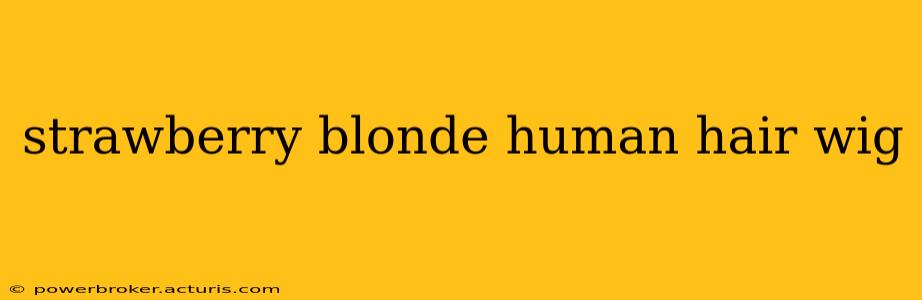 strawberry blonde human hair wig