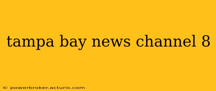 tampa bay news channel 8
