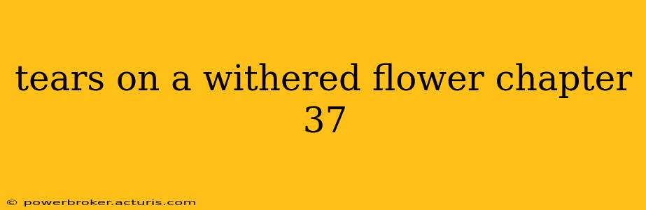 tears on a withered flower chapter 37