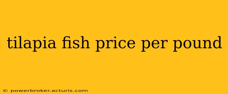 tilapia fish price per pound