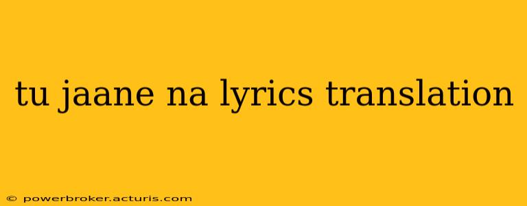 tu jaane na lyrics translation