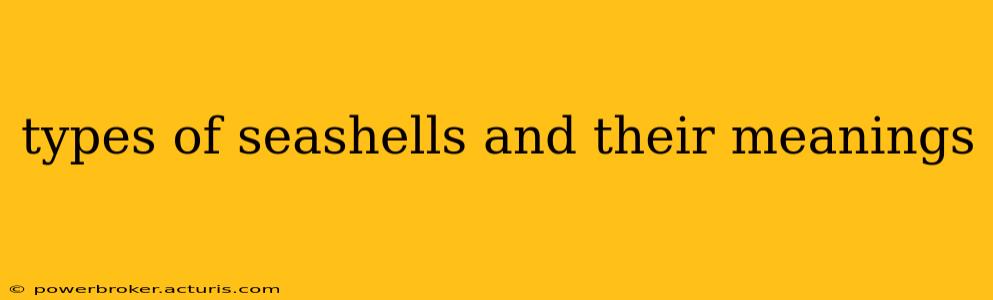 types of seashells and their meanings