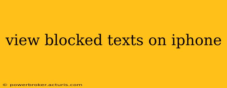 view blocked texts on iphone