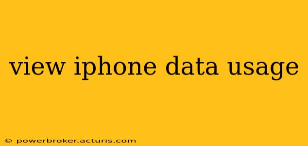 view iphone data usage