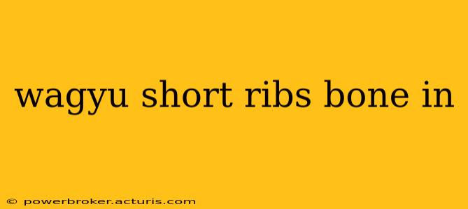 wagyu short ribs bone in