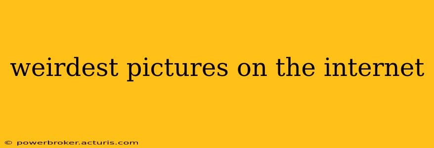 weirdest pictures on the internet