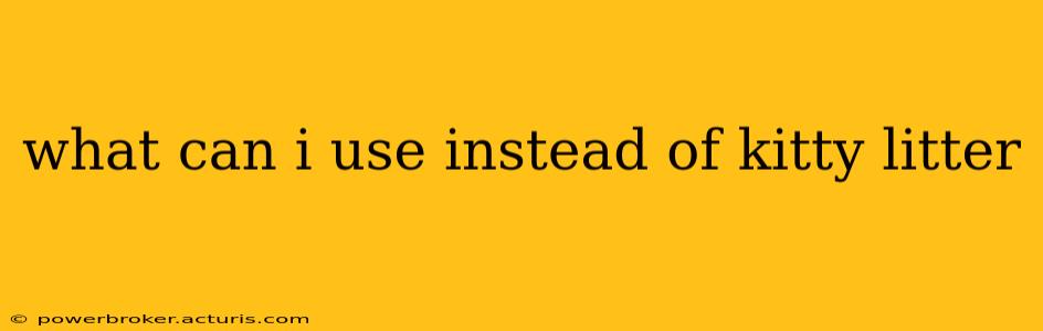 what can i use instead of kitty litter