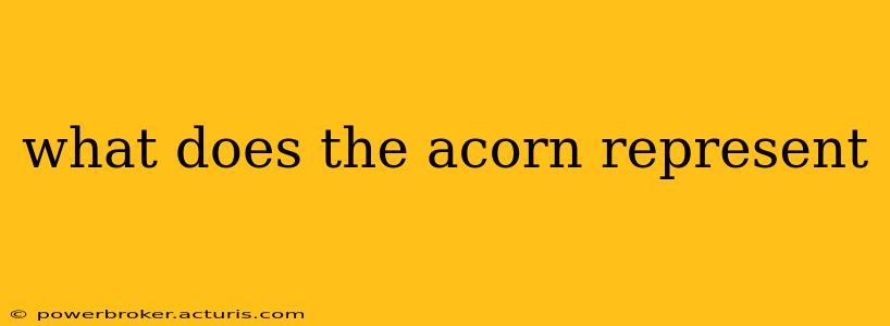 what does the acorn represent